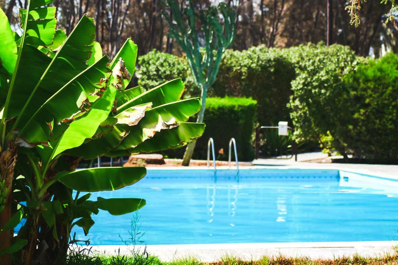 Hotel Moon-Light Studio Larnaka Exterior foto